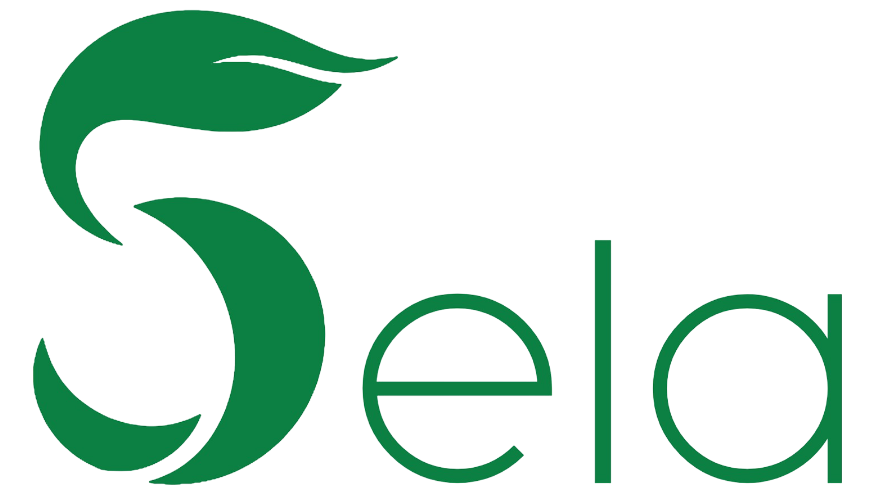 SELA Fellowship